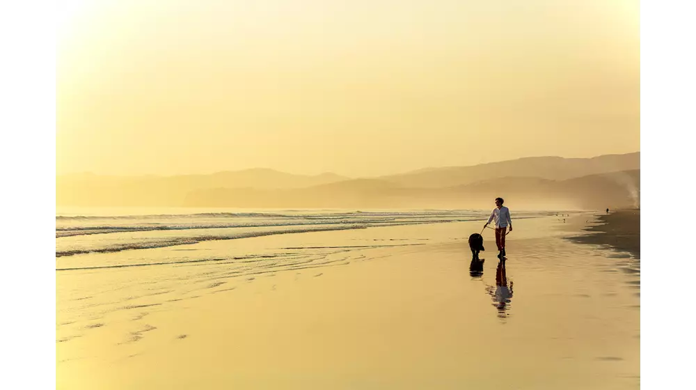 Hero Christchurch New Brighton Sunrise Walking