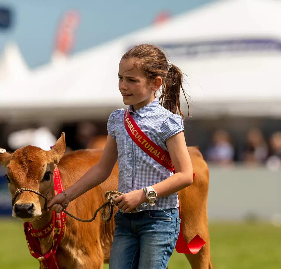 NZ Agricultural Show 2019 Girl Leading Animal