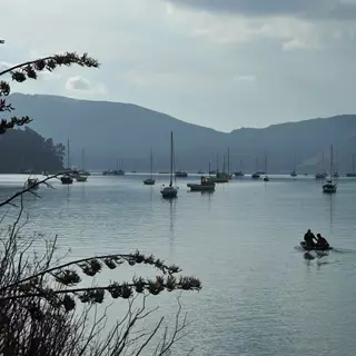 Akaroa Harbour with Boats