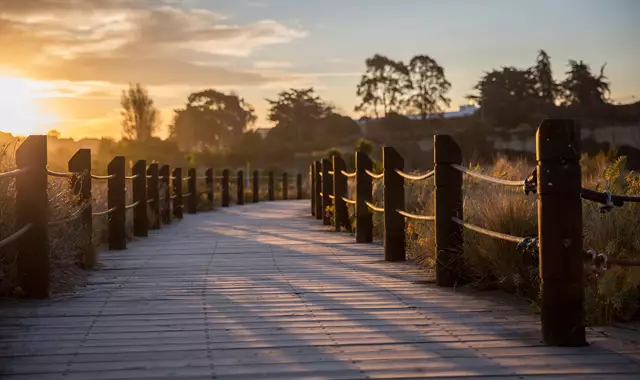 South Canterbury Timaru Boardwalk