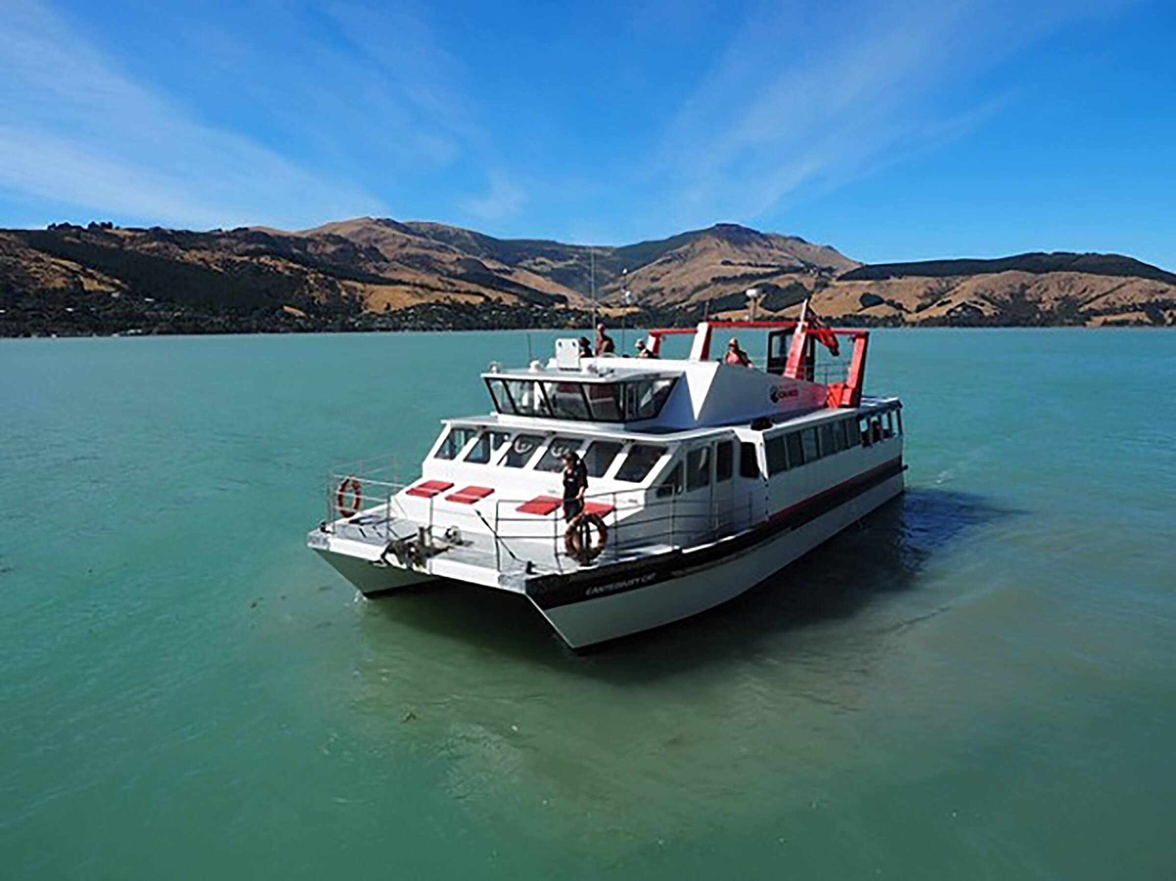 Black Cat Akaroa catamaran out on the harbor, blue water and rolling hills in the background