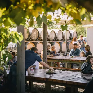 Greystone Winery Courtyard With Barrels